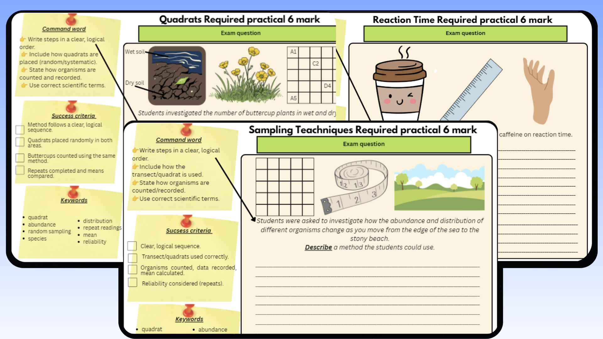 Biology Paper 2 Required Practicals Bundle preview