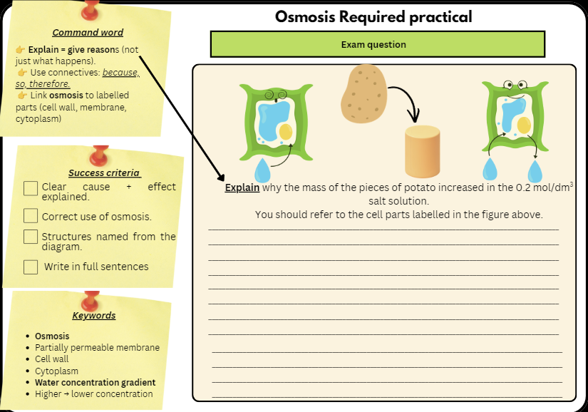 Preview of GradeUpScience Osmosis Required Practical worksheet