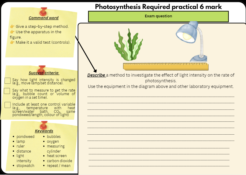 Preview of GradeUpScience Photosynthesis Required Practical worksheet