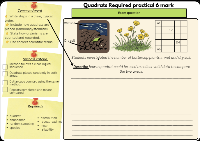 Random Quadrat Sampling Required Practical worksheet