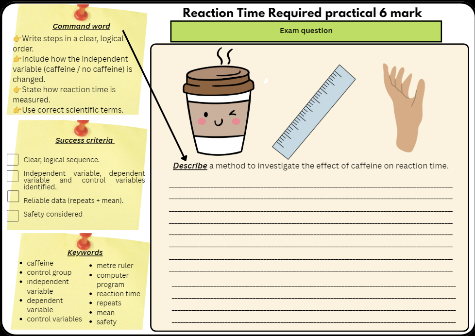 Reaction Time Required Practical worksheet